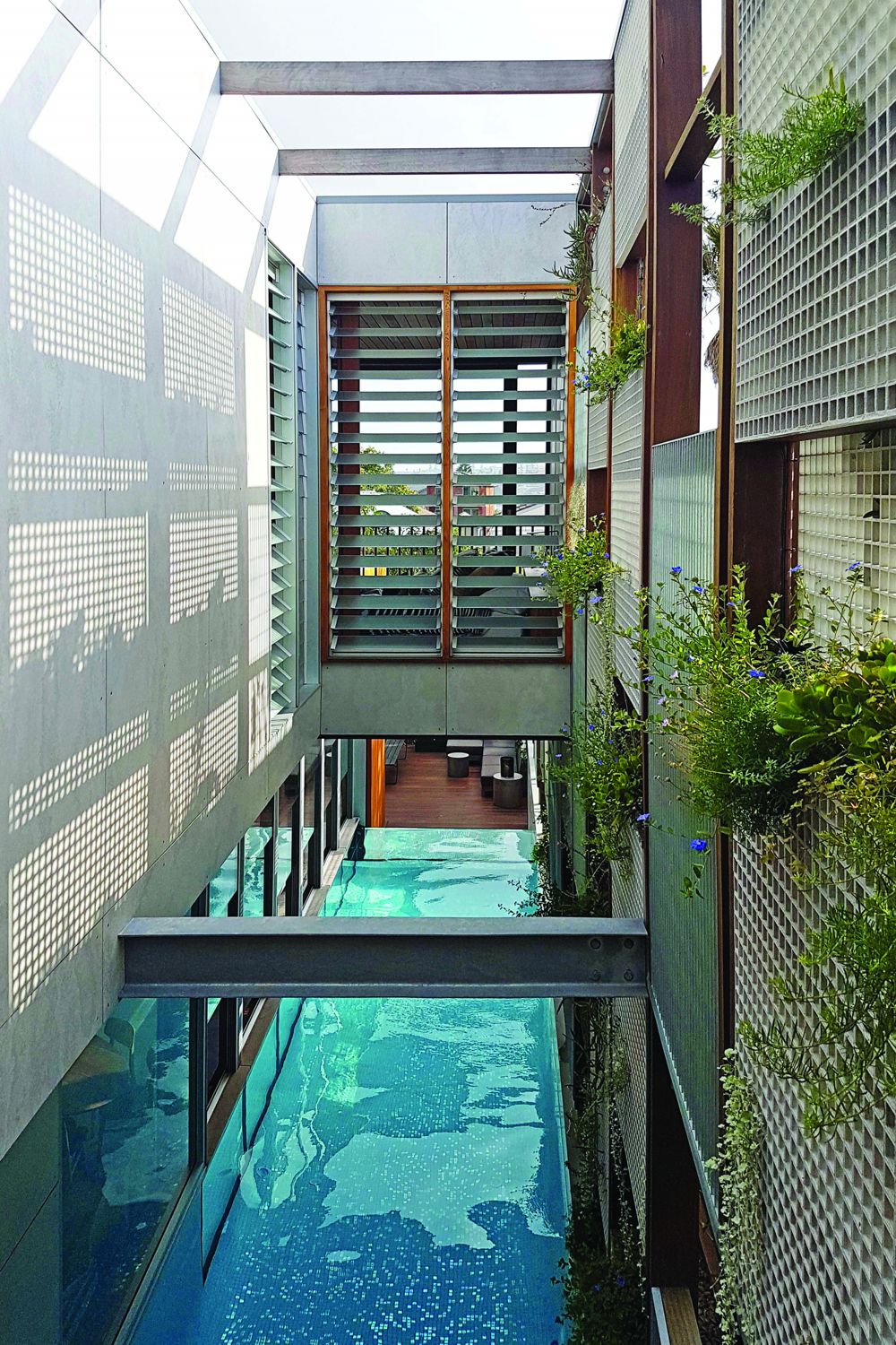 Living Screen House Sydney Pool Deck Atrium Custom Homes Magazine