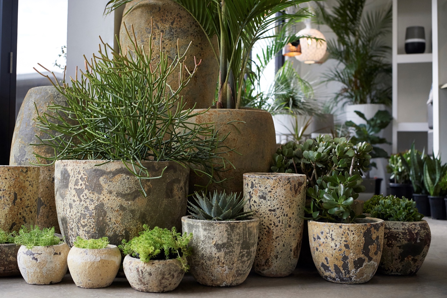 Pots Sydney, Plants Sydney, Landscapers Sydney
