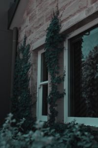 Sydney Builders