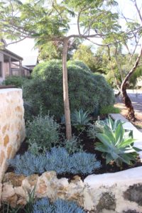 Landscape Garden Design Perth