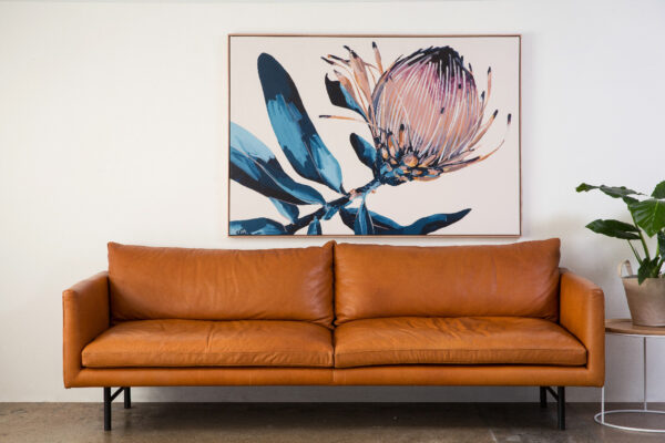 Artist Anya Brock, Original Art for Sale, Paintings of Proteas