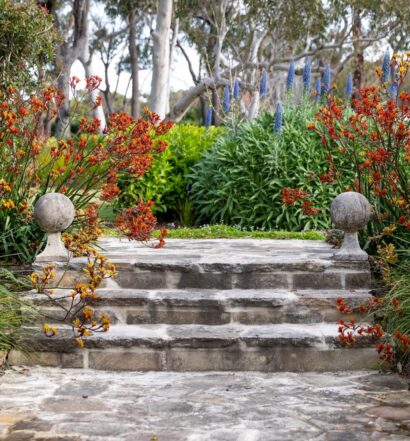 Luxury Landscapers Sydney 8