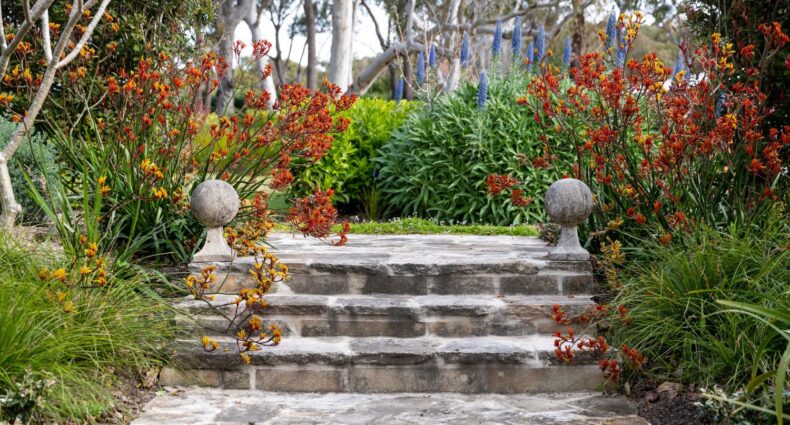 Luxury Landscapers Sydney 8