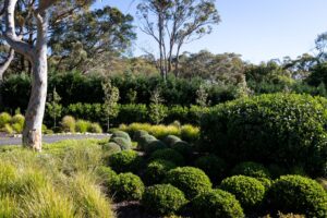 Luxury Landscapers Sydney 9