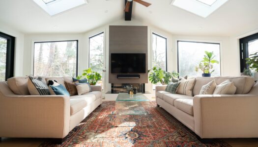 Traditional Rugs Contemporary Spaces
