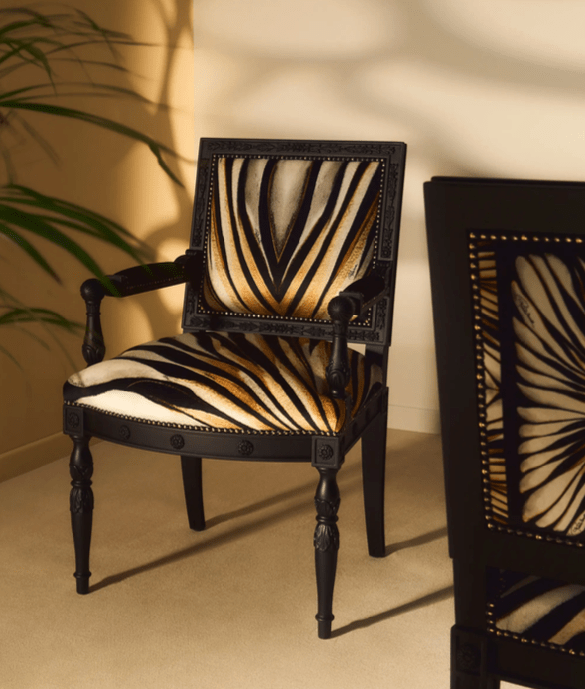 Roberto Cavalli Chairs