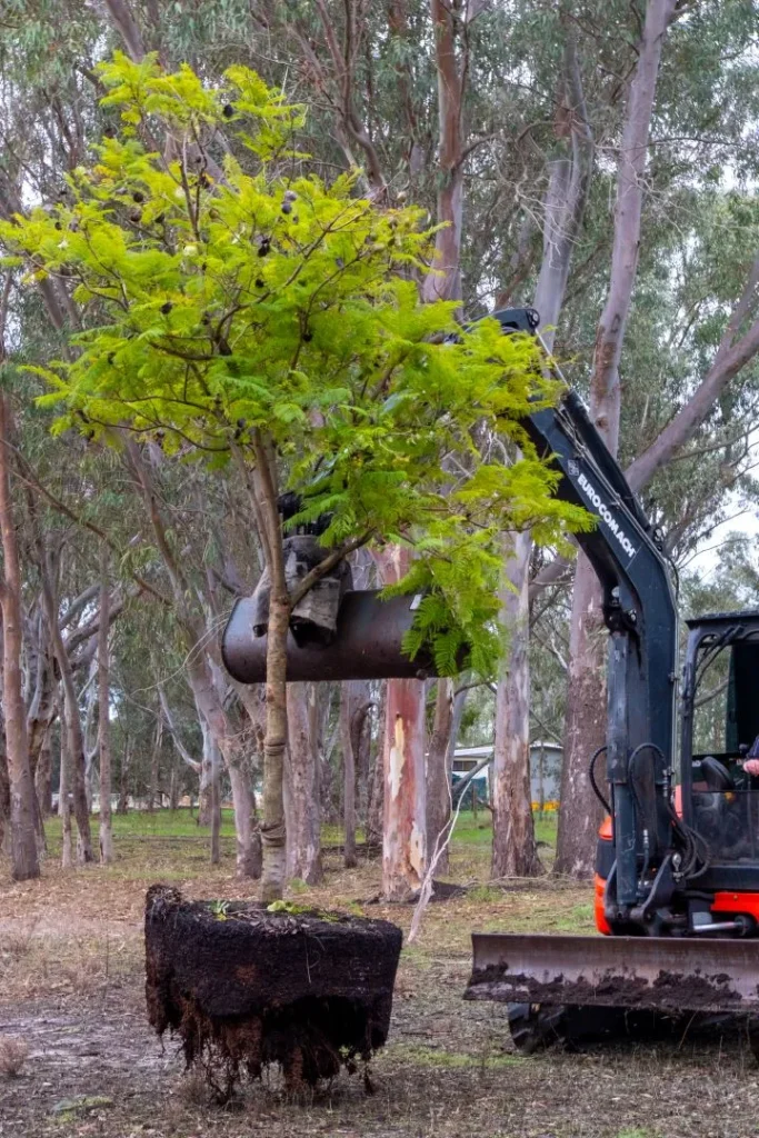 Ellenby Tree Farm provide a complete service from consultation to delivery and installation of your trees. 