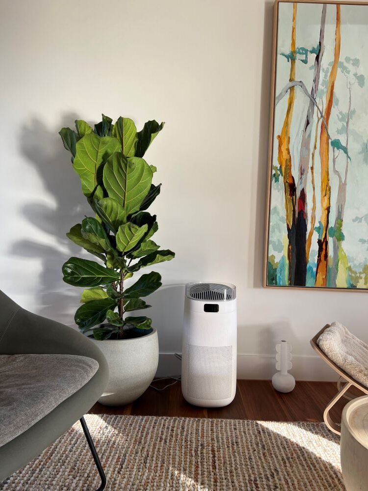 Fanco air purifiers