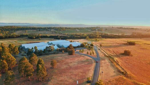 Great Wines to Cellar – First Creek Wines