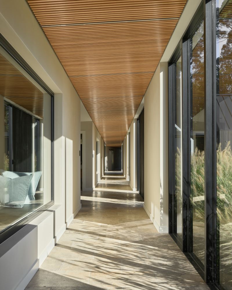 Glass walkways bushland