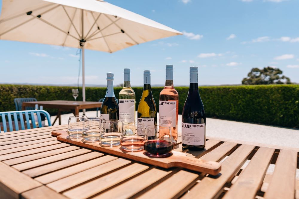 Exclusive Collection of The Lane Vineyard