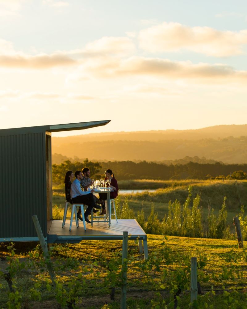 People Enjoying The Lane Vineyard Wine