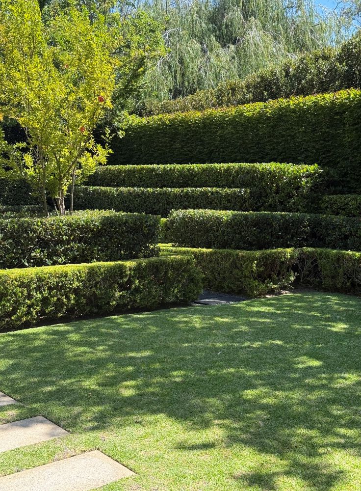 Pure Green Landscapes