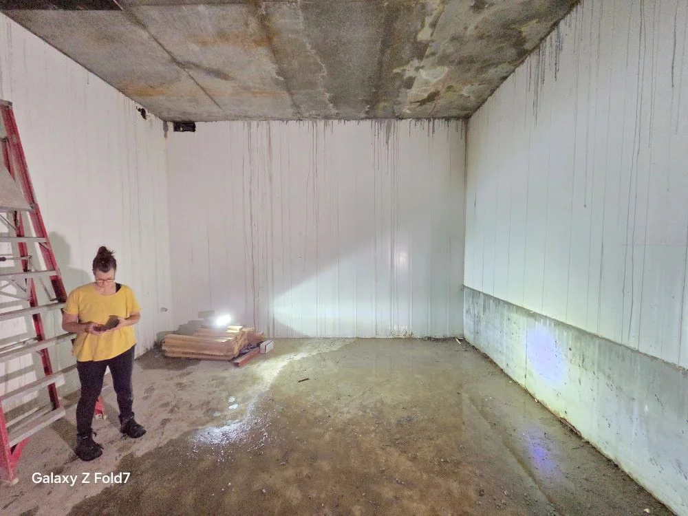 Cineverse home cinema