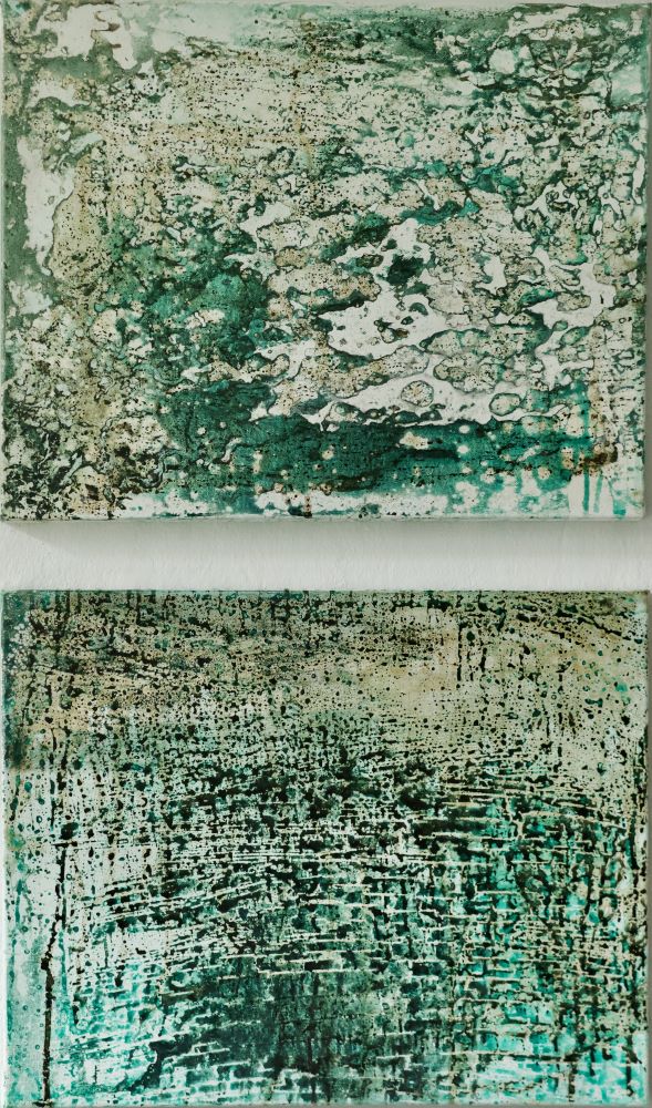 Artist Denice Downey