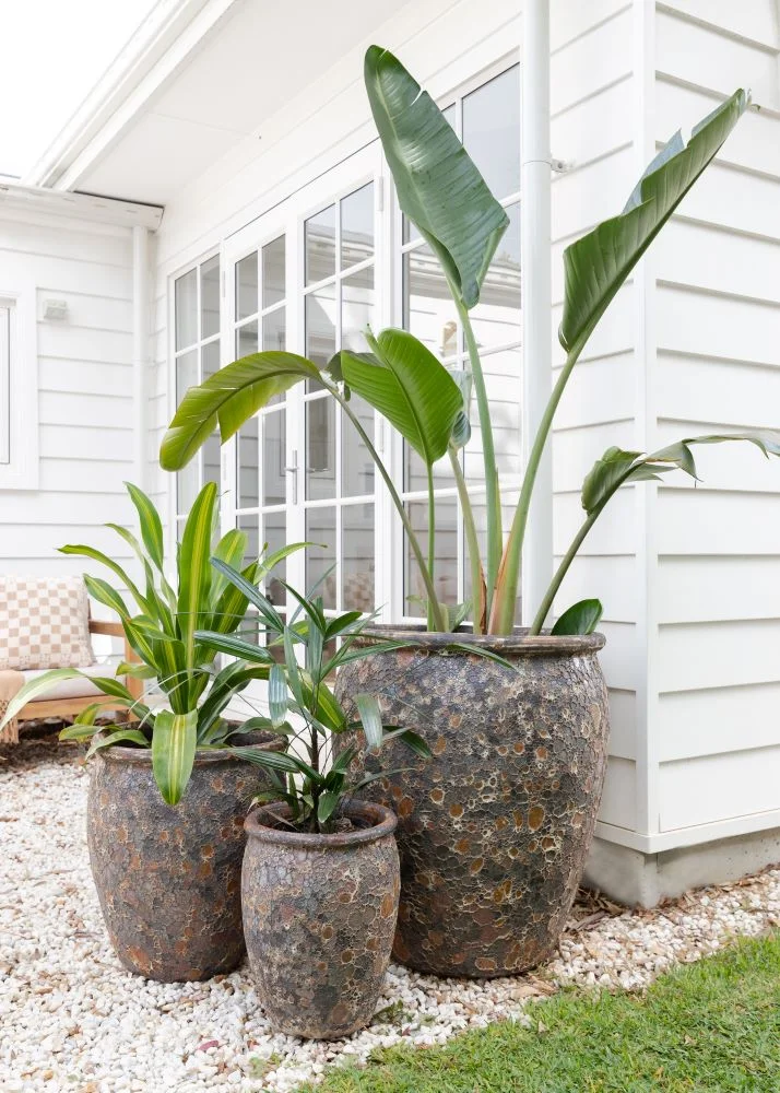 Luxury Outdoor Living