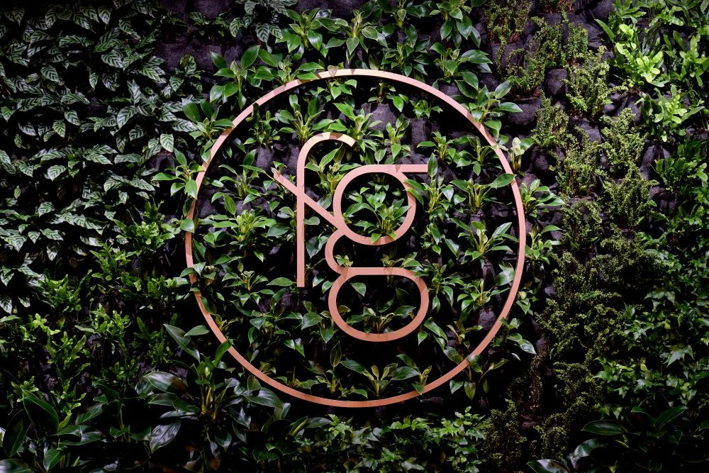 indoor plant installations