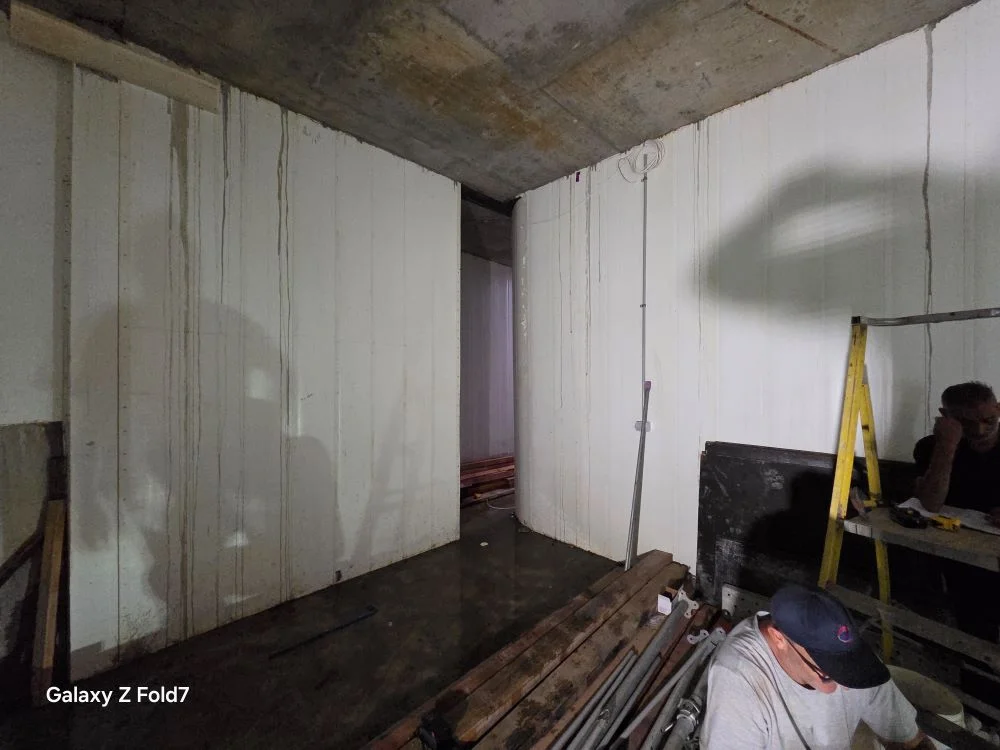 Sydney home cinema specialist