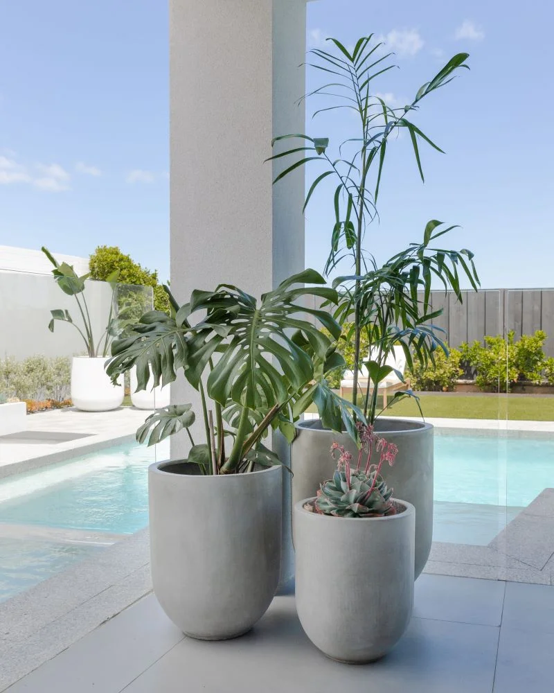 designer garden pots