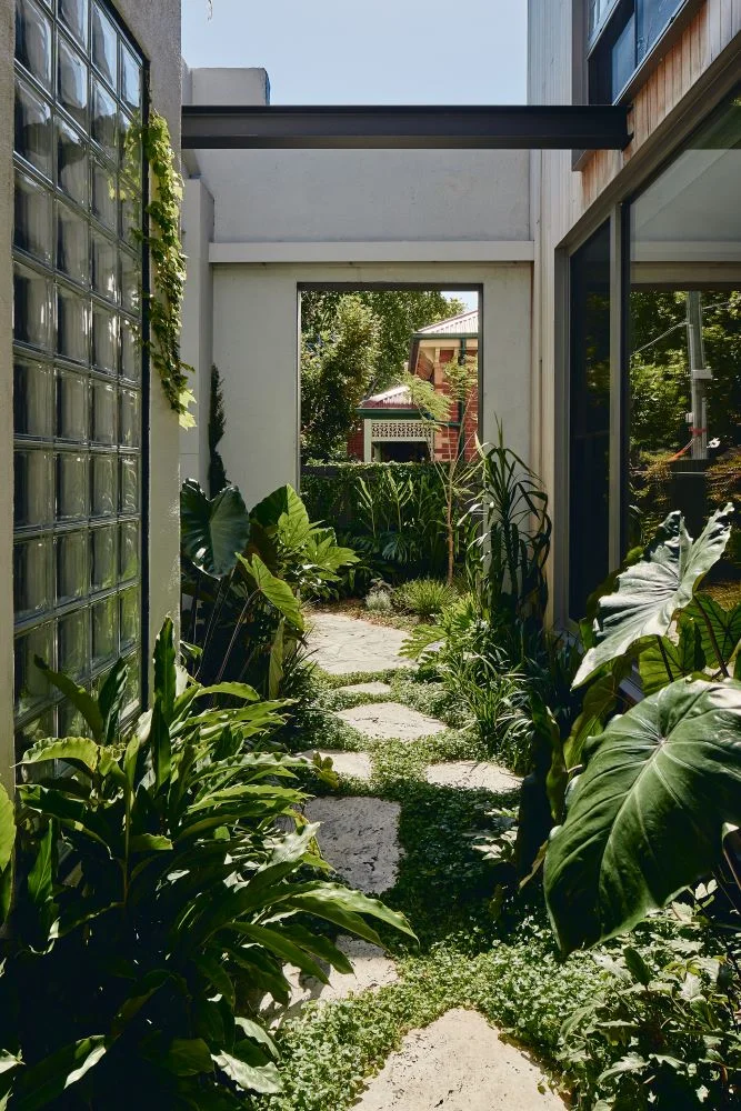 inner-city home with green roofs and terraces
