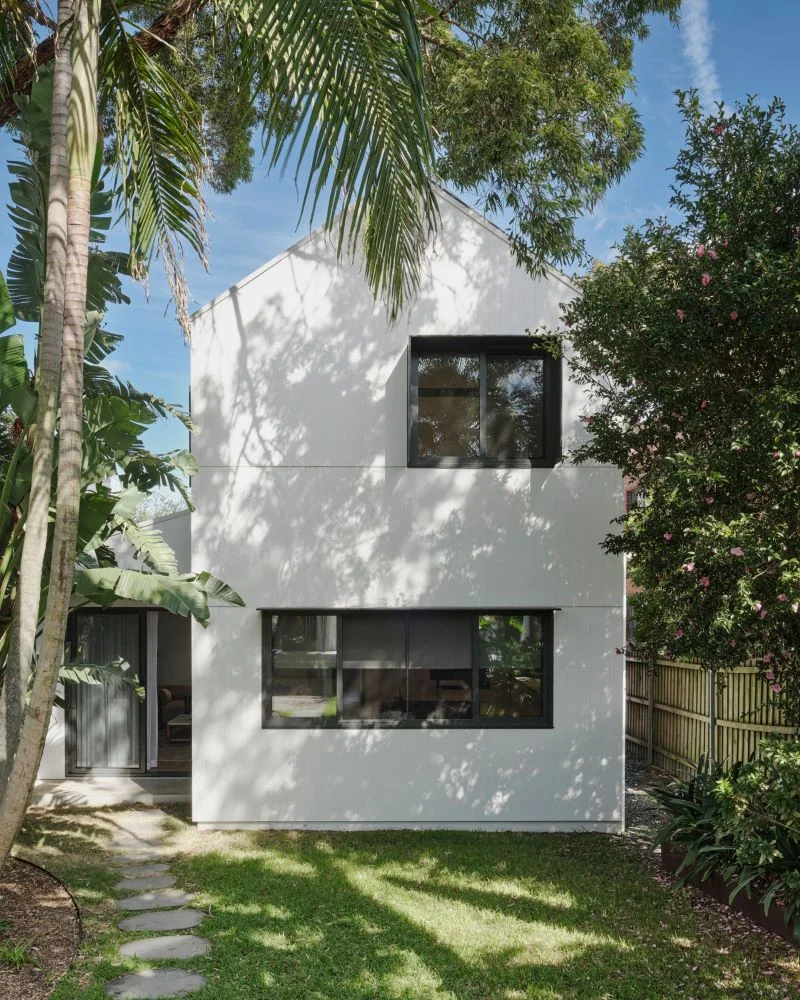 renovation around mature trees