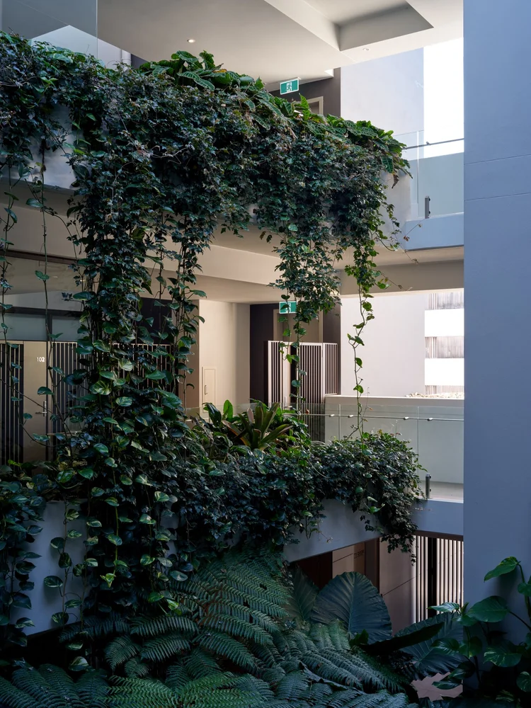 Luxury riverfront apartment interior at Riverbank on Byron Bulimba